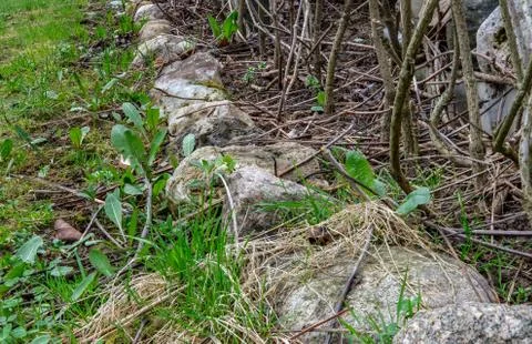 Stone flowerbed Stock Photos