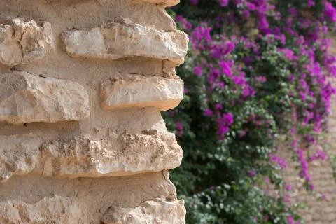 Stone &amp; flowers Stock Photos