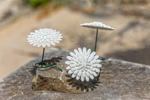 Stone flowers Stock-Fotos