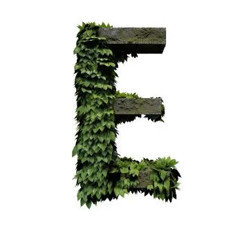 Stone foliage letter E Stock Illustration