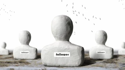 Stone Followers Stock Footage 87297227