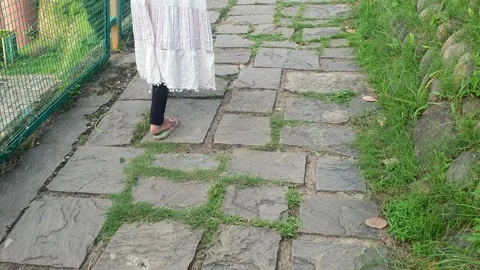 Stone foot path Stock Footage 314310124