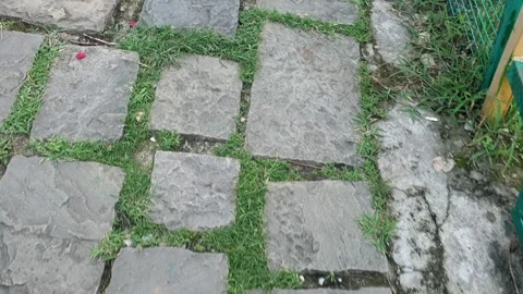 Stone foot path Stock Footage 314310129