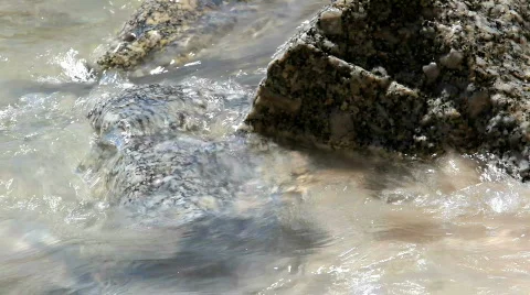 Stone 스톡 동영상 692962