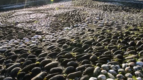 Stone Footpath Stock Footage 81752847