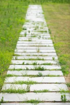 Stone footpath with growing grass Foto stock