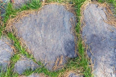 Stone footpath texture with green grass around Stock-Fotos