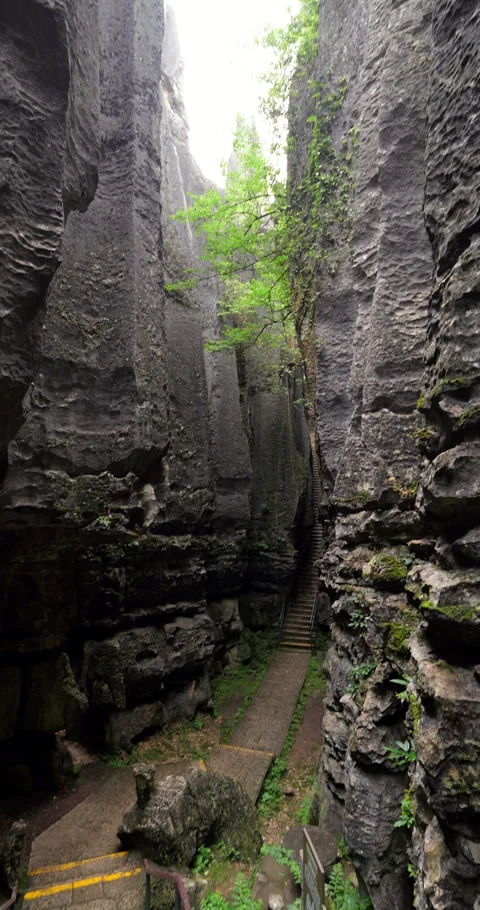Stone Forest deep gorge panning view, Shilin national park in Kunming Видео 329622863