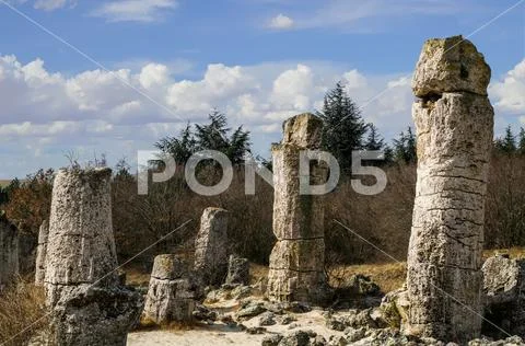 Stone Forest Near Varna, Bulgaria Stock Photos