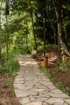 Stone Forest Path with Lamp Stock Photos