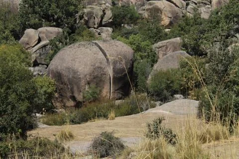 Stone &amp; Forest Stock Photos