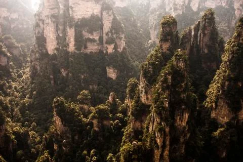 Stone Forest Stock Photos