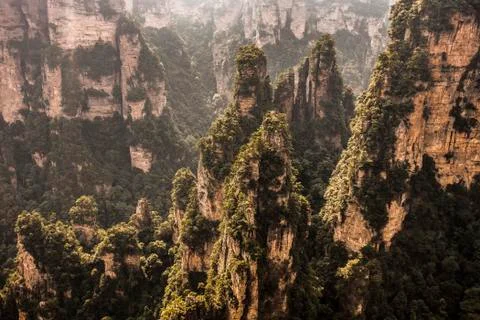 Stone Forest Stock Photos