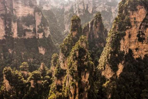 Stone Forest Stock Photos