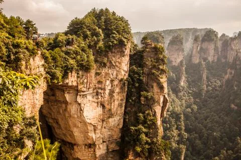 Stone Forest Stock Photos