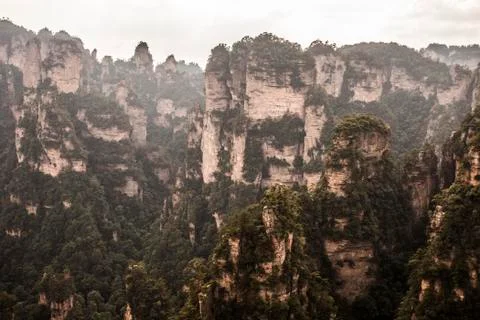 Stone Forest Stock Photos