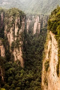 Stone Forest Stock Photos