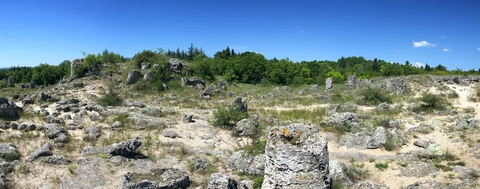 Stone forest Stock Photos