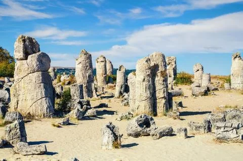 Stone Forest Stock Photos