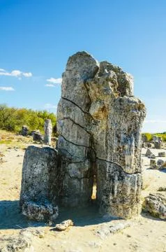 Stone Forest Stock Photos