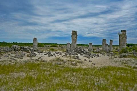 The stone forest Stock Photos