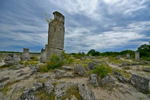 The stone forest Stock Photos