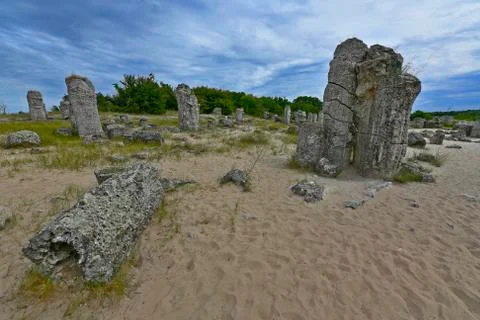 The stone forest Stock Photos