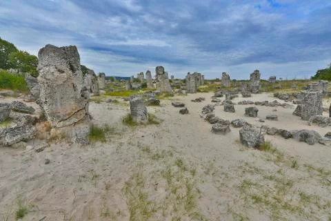 The stone forest Stock Photos