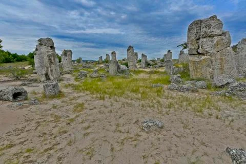 The stone forest Stock Photos