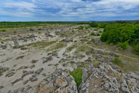 The stone forest Stock Photos