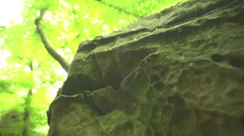 Stone in the forest in slow motion (200fps) Stock-Footage 23485091
