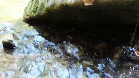Stone in a forest stream, bottom view 動画素材 90505943