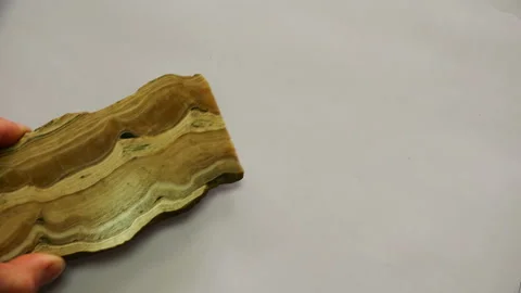 A stone in the form of a cut tree and a fossil in the shape of a triangle Stock Footage 93431409