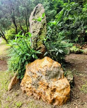 Stone formation in lush forest Stock Photos