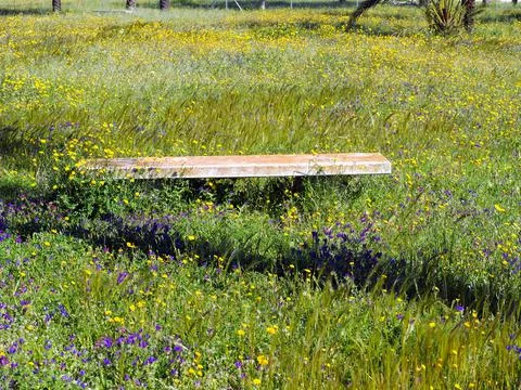 Stone garden bench Stock Photos