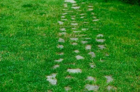 Stone garden path embedded in lush green lawn natural rustic walkway Stock Photos