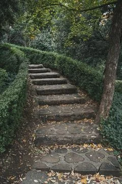 Stone Garden Path. Rustic Steps through Greenery Stock Photos
