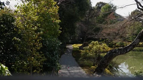 Stone Garden Path Through Lush Trees Beside Pond at Kinkakuji in Kyoto Japan Vidéo 337025802