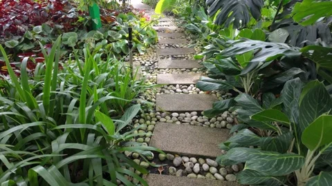 Stone Garden Pathway Surrounded by Greenery and Pebbles in Peaceful Setting Stock Footage 316157299