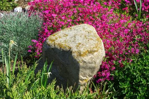 Stone in garden Stock Photos