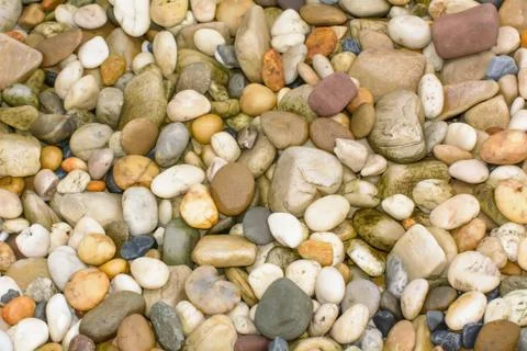 Stone in the garden Stock Photos