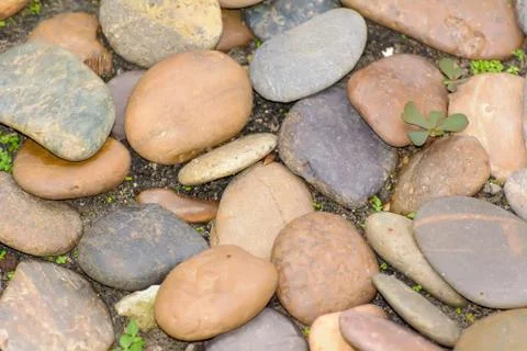 Stone in the garden Stock Photos