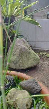 Stone in the garden. Foto stock