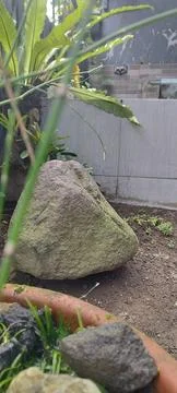 Stone in the garden Stock Photos