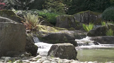 Stone garden with a pond Stock Footage 43805427
