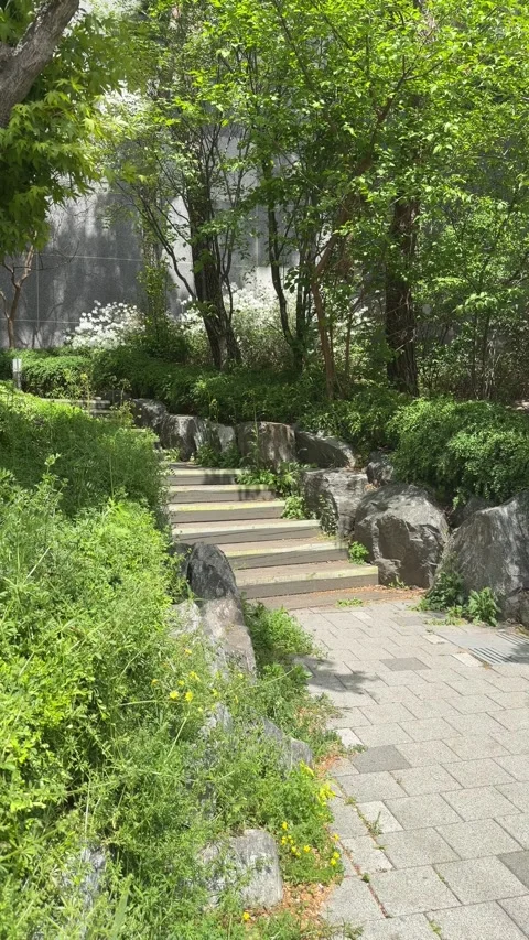Stone Garden Steps Through Lush Greenery in a Sunny City Park Stock Footage 339908358