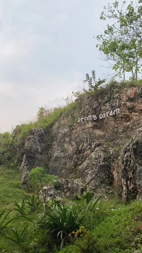 Stone garden text Stock Footage 241818272