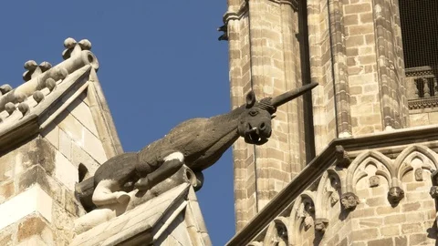 Stone gargoyles on side of a building in the Gothic Quarter, Barcelona, Spain. Stock Footage 127329531