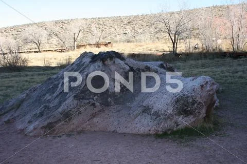 Stone Gator Stock Photos