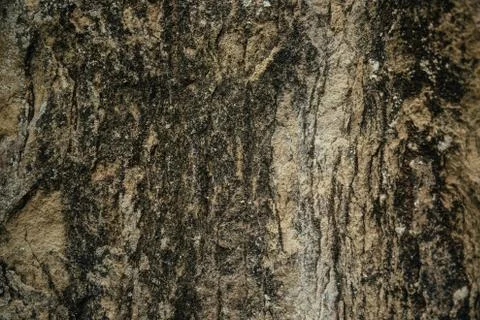 Stone geological background Stock Photos